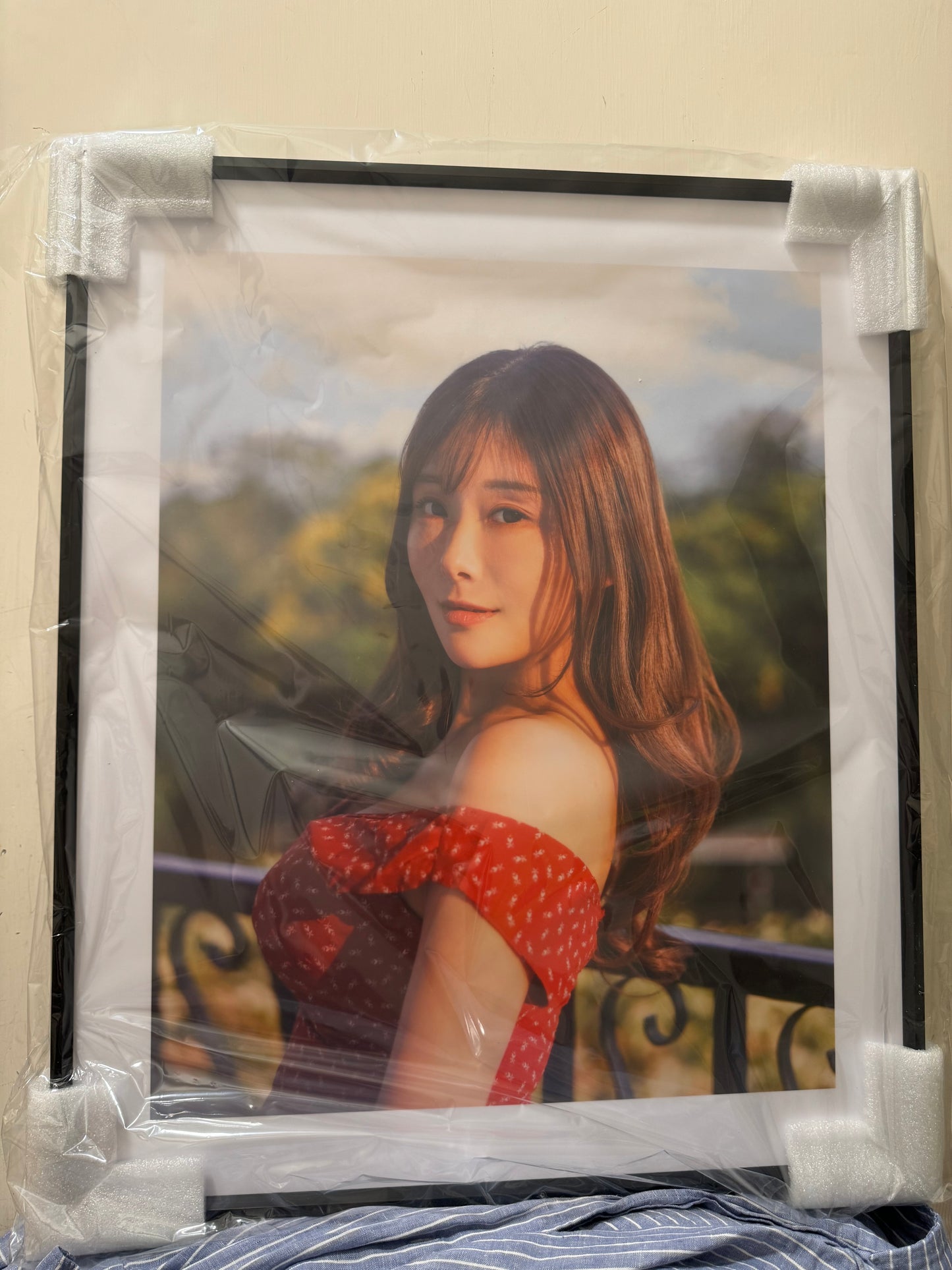 展示寫真（M～LL Size)（共20款）