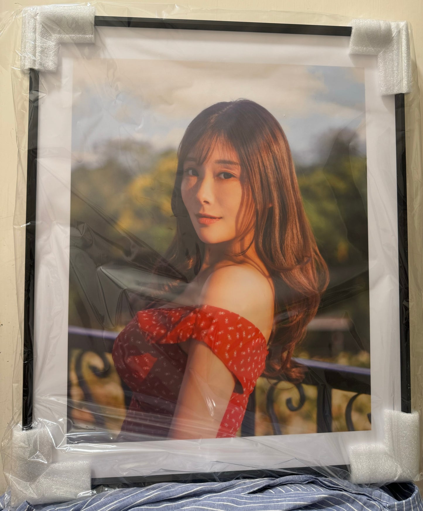 展示寫真（M～LL Size)（共20款）
